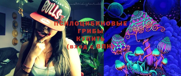 jwh Гусь-Хрустальный