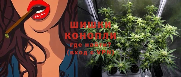 spice Гусиноозёрск