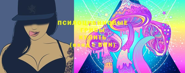 spice Гусиноозёрск