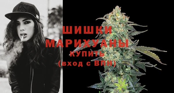 spice Гусиноозёрск