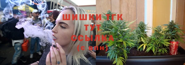 jwh Гусь-Хрустальный